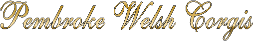 DUN OWEN