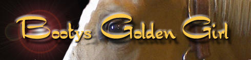 Bootys Golden Girl, broodmare at Whistleville Farms.